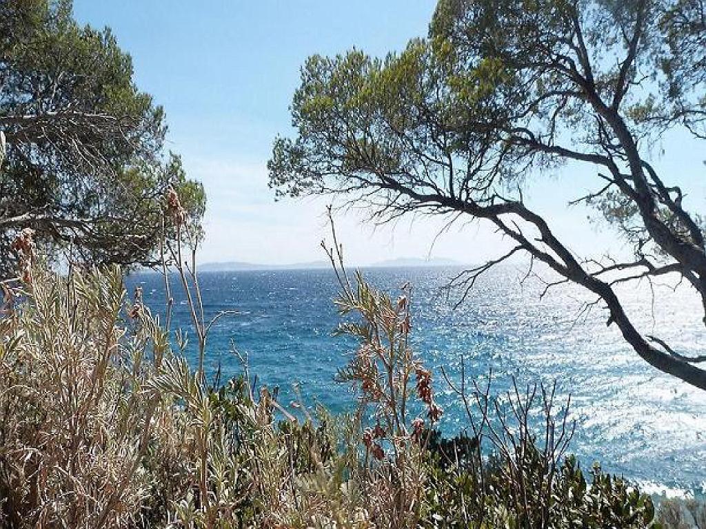 183 D27 Rayol Canadel 2_000035.jpg